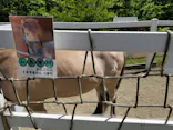 よこはま動物園ズーラシアに投稿された画像（2023/5/5）