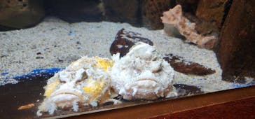 越前松島水族館に投稿された画像（2023/5/5）