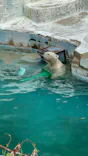 天王寺動物園に投稿された画像（2023/5/5）