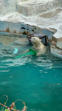 天王寺動物園に投稿された画像（2023/5/5）