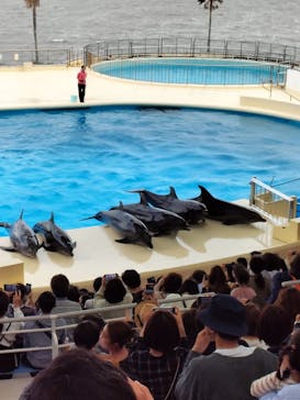 マリンワールド海の中道に投稿された画像（2023/5/5）