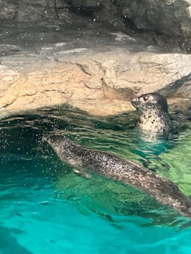 アクアワールド茨城県大洗水族館に投稿された画像（2023/5/5）