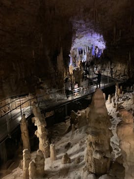 おきなわワールドに投稿された画像（2023/5/5）