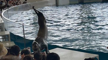 アクアワールド茨城県大洗水族館に投稿された画像（2023/5/5）