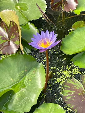 神戸どうぶつ王国に投稿された画像（2023/5/5）