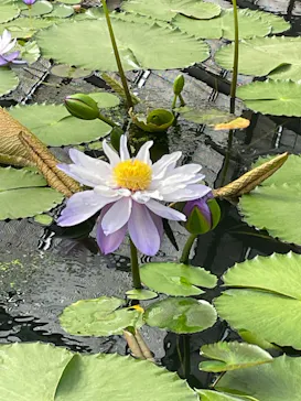 神戸どうぶつ王国に投稿された画像（2023/5/5）