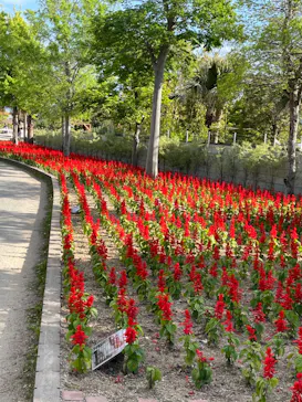 神戸どうぶつ王国に投稿された画像（2023/5/5）