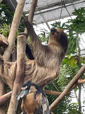 神戸どうぶつ王国に投稿された画像（2023/5/5）