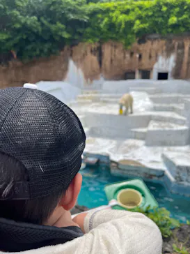 天王寺動物園に投稿された画像（2023/5/5）