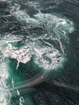 徳島県立 渦の道に投稿された画像（2023/5/5）