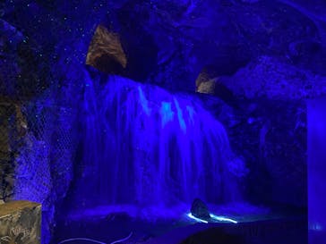 地底王国「美川ムーバレー」に投稿された画像（2023/5/5）