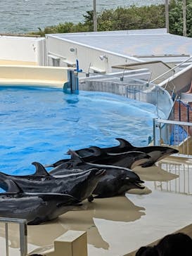 マリンワールド海の中道に投稿された画像（2023/5/5）