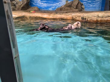 マリンワールド海の中道に投稿された画像（2023/5/5）