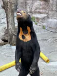 天王寺動物園に投稿された画像（2023/5/5）
