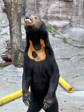 天王寺動物園に投稿された画像（2023/5/5）