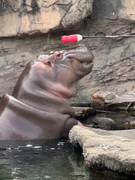 天王寺動物園に投稿された画像（2023/5/5）