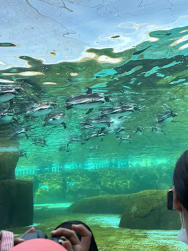 天王寺動物園に投稿された画像（2023/5/5）