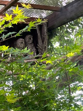 環境水族館アクアマリンふくしまに投稿された画像（2023/5/5）