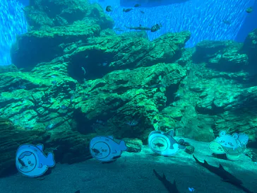 仙台うみの杜水族館に投稿された画像（2023/5/5）
