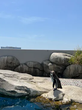 仙台うみの杜水族館に投稿された画像（2023/5/5）