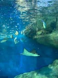 しながわ水族館に投稿された画像（2023/5/5）
