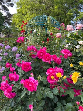 西武園ゆうえんちに投稿された画像（2023/5/5）