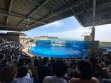 新江ノ島水族館に投稿された画像（2023/5/5）