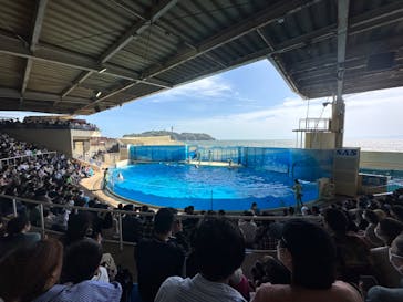 新江ノ島水族館に投稿された画像（2023/5/5）