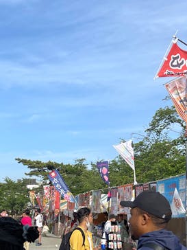 小田原城に投稿された画像（2023/5/5）