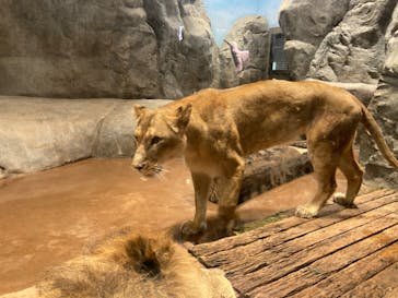 よこはま動物園ズーラシアに投稿された画像（2023/5/5）