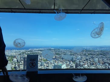 横浜ランドマークタワー 69階展望フロア スカイガーデンに投稿された画像（2023/5/5）