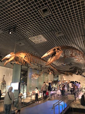国立科学博物館に投稿された画像（2023/5/5）