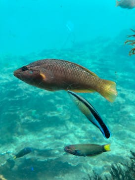 串本海中公園水族館に投稿された画像（2023/5/5）