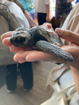 串本海中公園水族館に投稿された画像（2023/5/5）