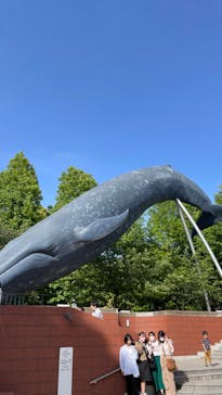 国立科学博物館に投稿された画像（2023/5/5）