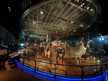 国立科学博物館に投稿された画像（2023/5/5）