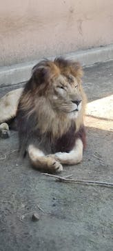 日立市かみね動物園に投稿された画像（2023/5/5）