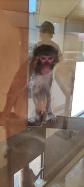 日立市かみね動物園に投稿された画像（2023/5/5）