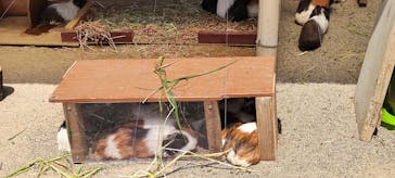 日立市かみね動物園に投稿された画像（2023/5/5）