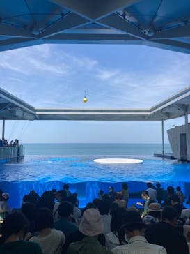 上越市立水族博物館 うみがたりに投稿された画像（2023/5/5）