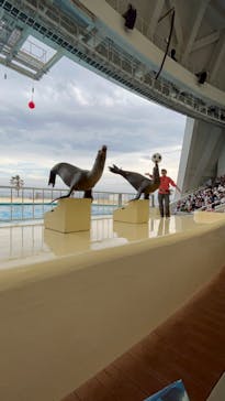 マリンワールド海の中道に投稿された画像（2023/5/5）