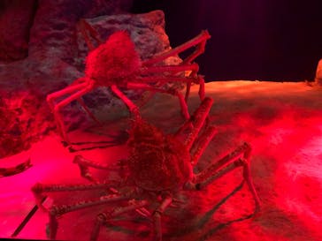 伊豆・三津シーパラダイスに投稿された画像（2023/5/5）