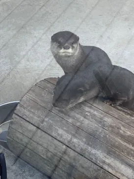 横浜・八景島シーパラダイスに投稿された画像（2023/5/5）