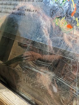 よこはま動物園ズーラシアに投稿された画像（2023/5/5）