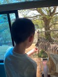 東北サファリパークに投稿された画像（2023/5/5）