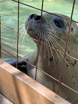 那須どうぶつ王国に投稿された画像（2023/5/5）