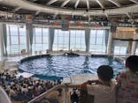 アクアワールド茨城県大洗水族館に投稿された画像（2023/5/5）