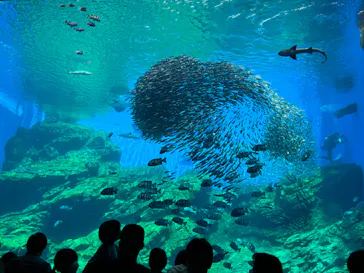 仙台うみの杜水族館に投稿された画像（2023/5/5）