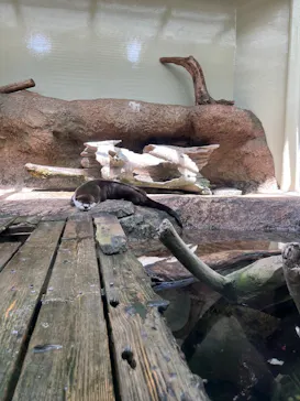 仙台うみの杜水族館に投稿された画像（2023/5/5）