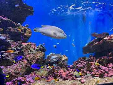 仙台うみの杜水族館に投稿された画像（2023/5/5）